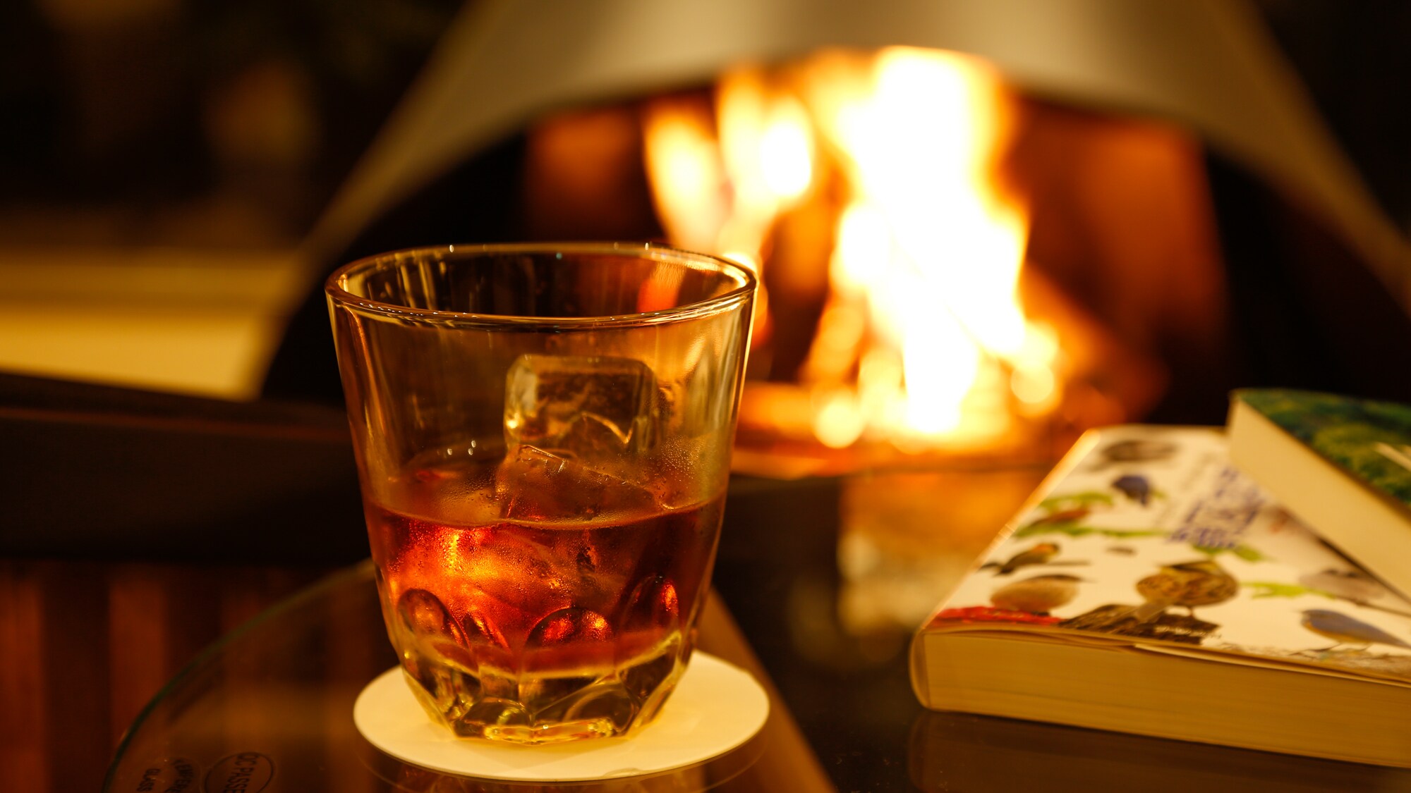 Reading by the fireplace