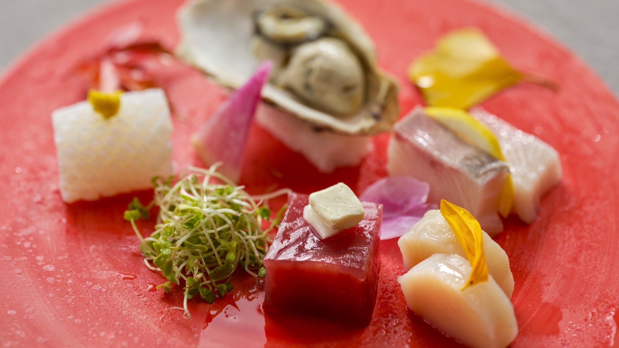 [Menu Kaiseki Spesial] Musim Gugur (September-November 2026) Sashimi, Tiram Kukus dengan Cangkang, Bonito dengan Keju, Kerang, Sashimi Ikan Ekor Kuning