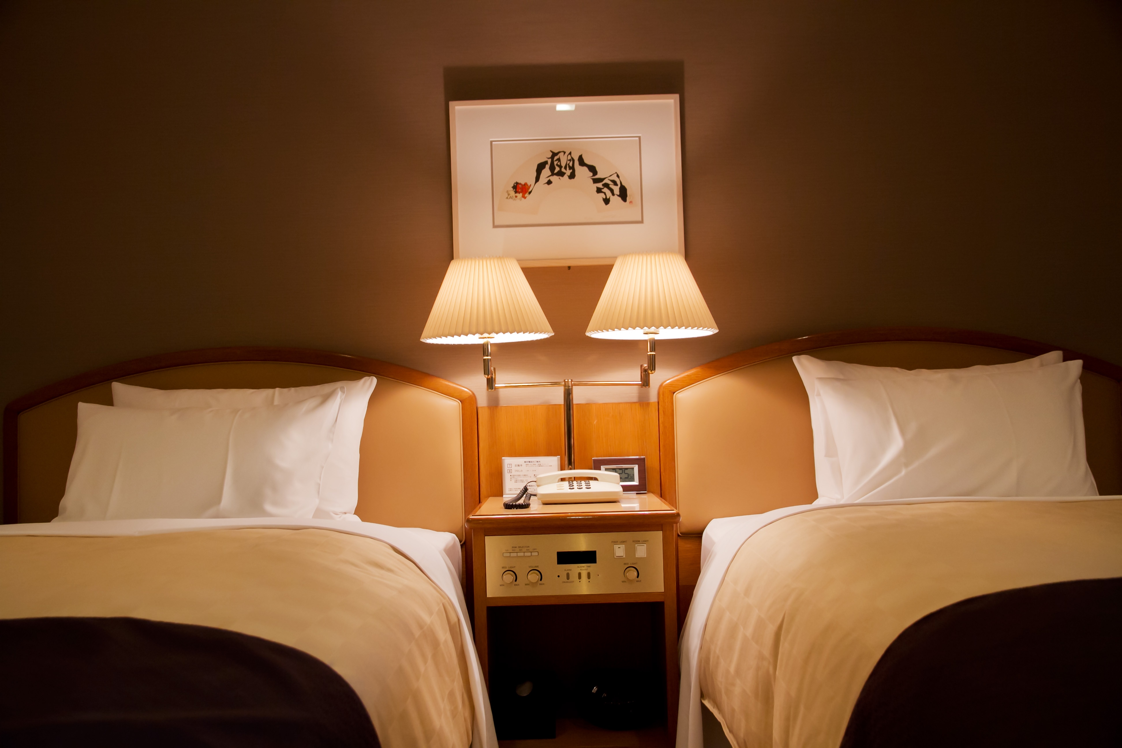 Japanese and Western room