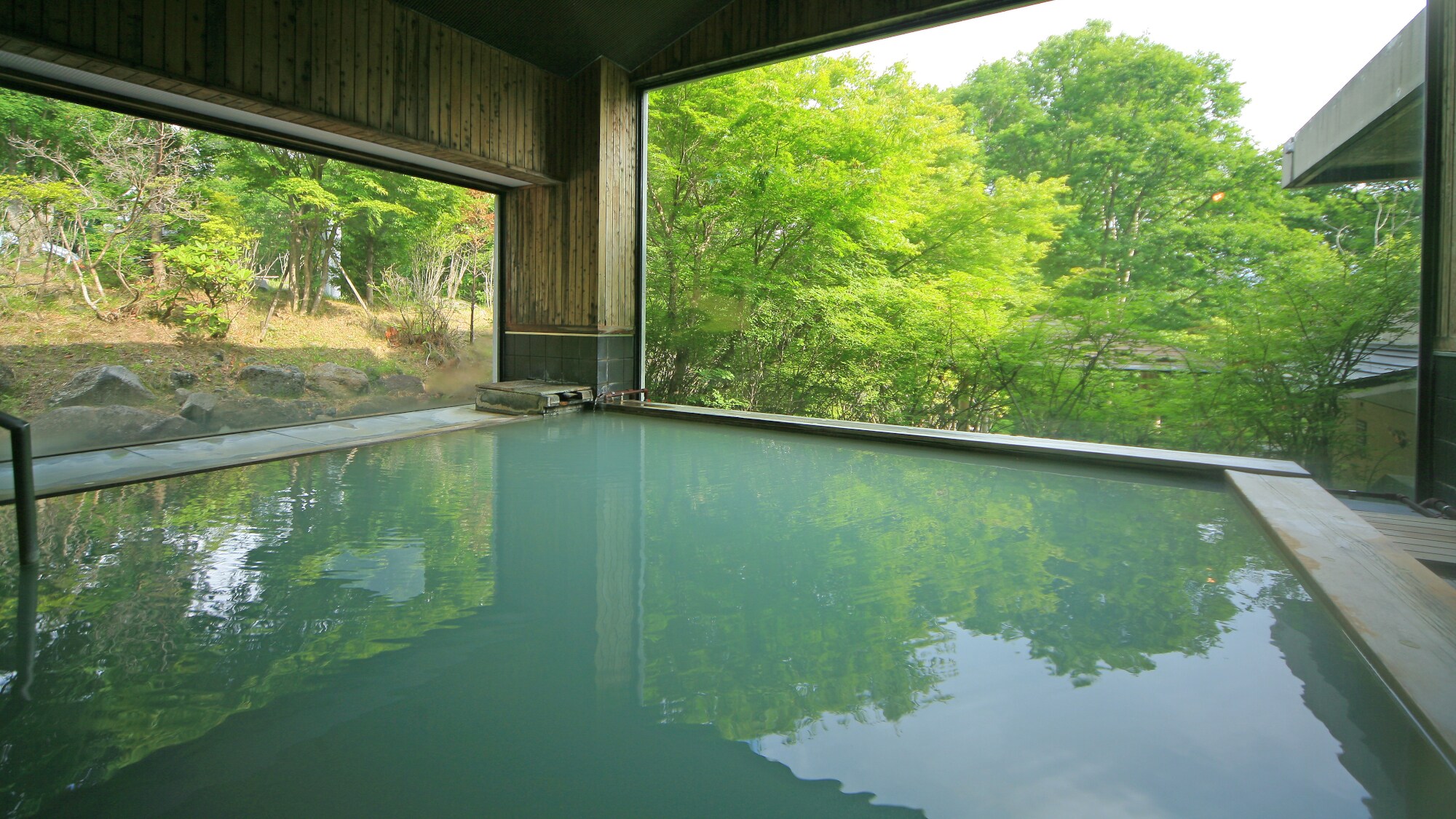 大浴场 | 请欣赏生机勃勃的绿色植物