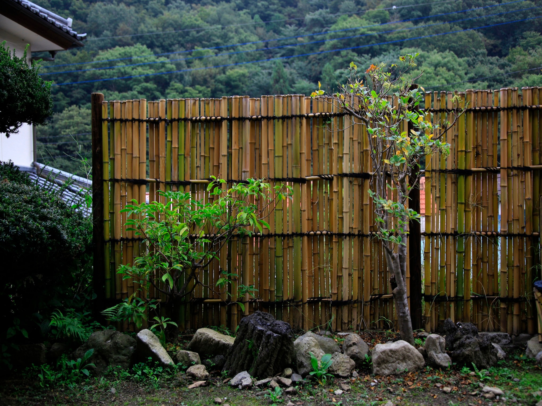 Kebun