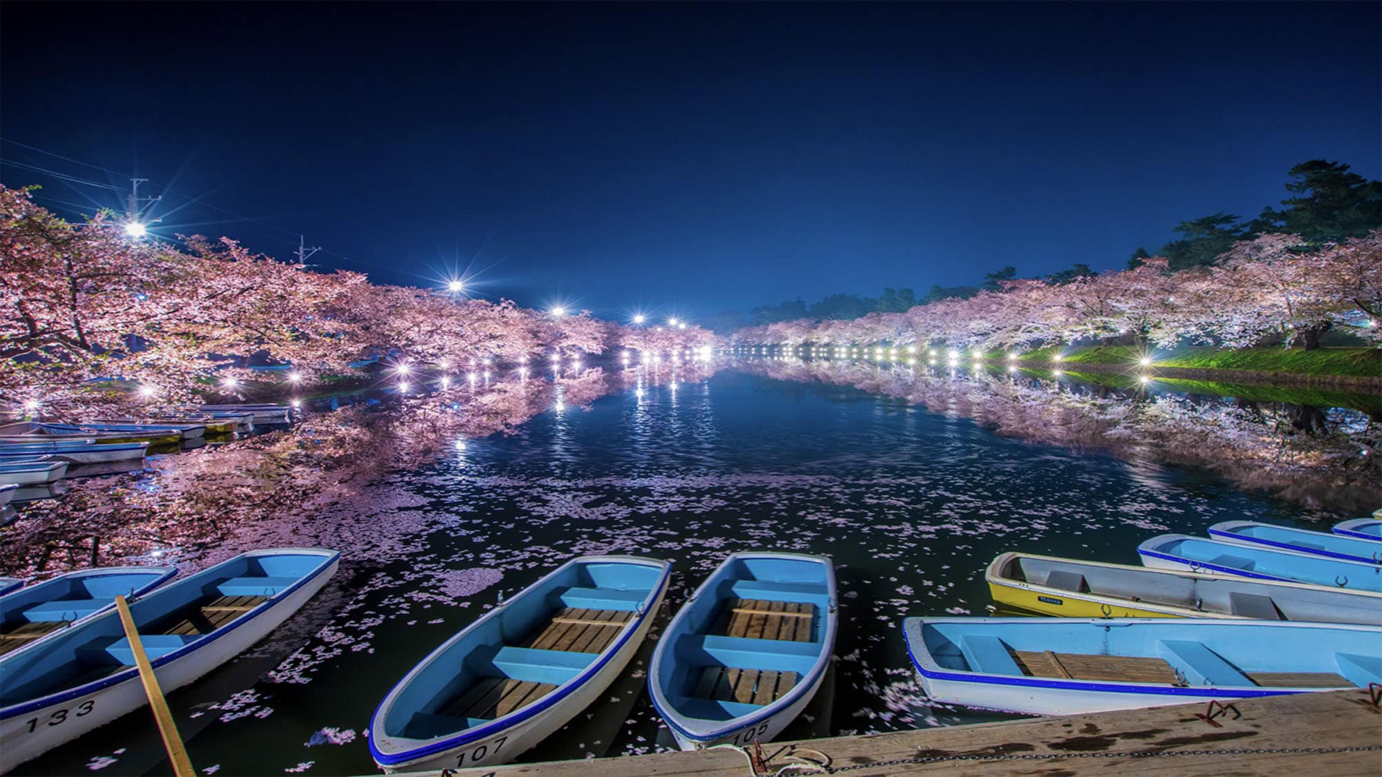 *弘前樱花节/夜樱花灯饰