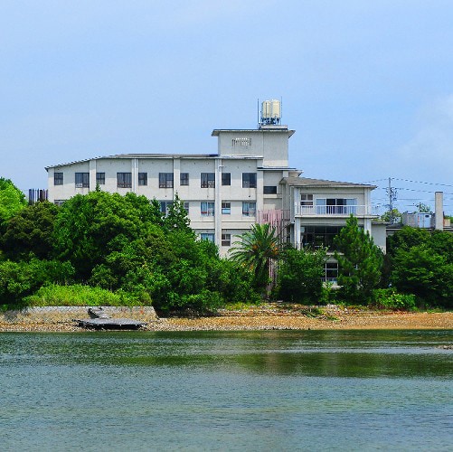 Appearance image