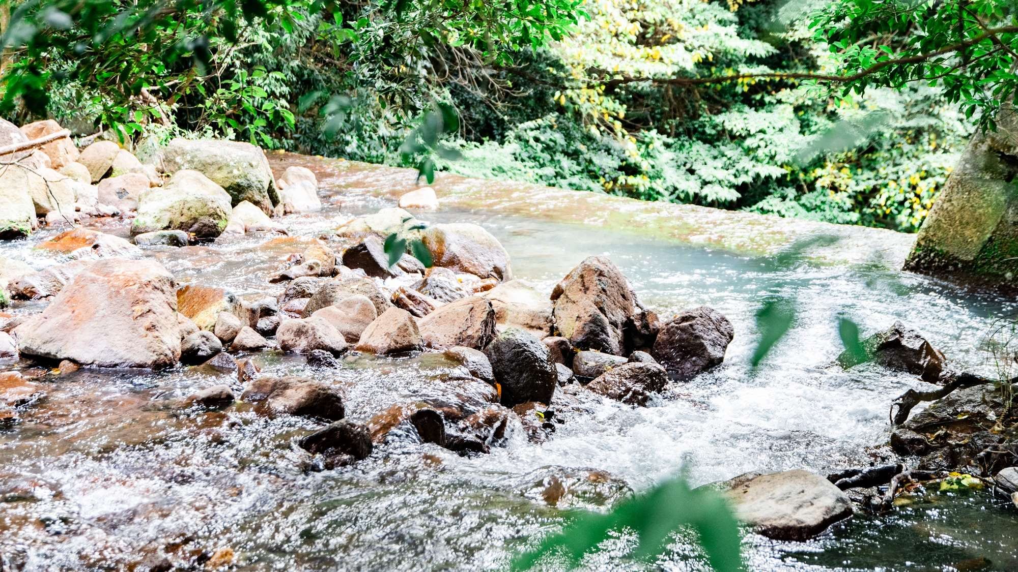 [สภาพแวดล้อม] เพลิดเพลินกับสถานที่ที่ล้อมรอบด้วยลำธารบนภูเขาและป่าไม้อันบริสุทธิ์