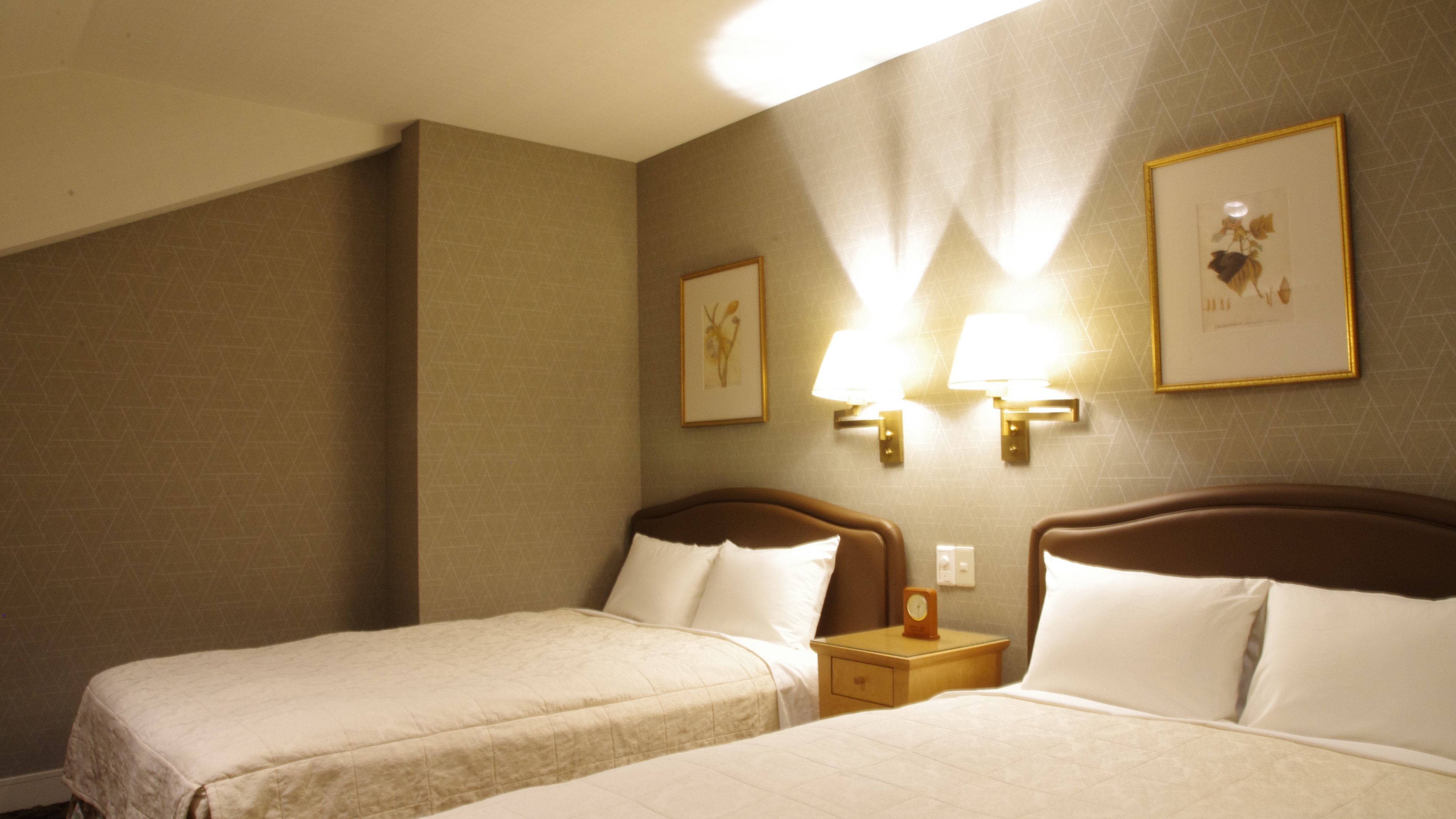 <Non-smoking room> Deluxe Twin Room