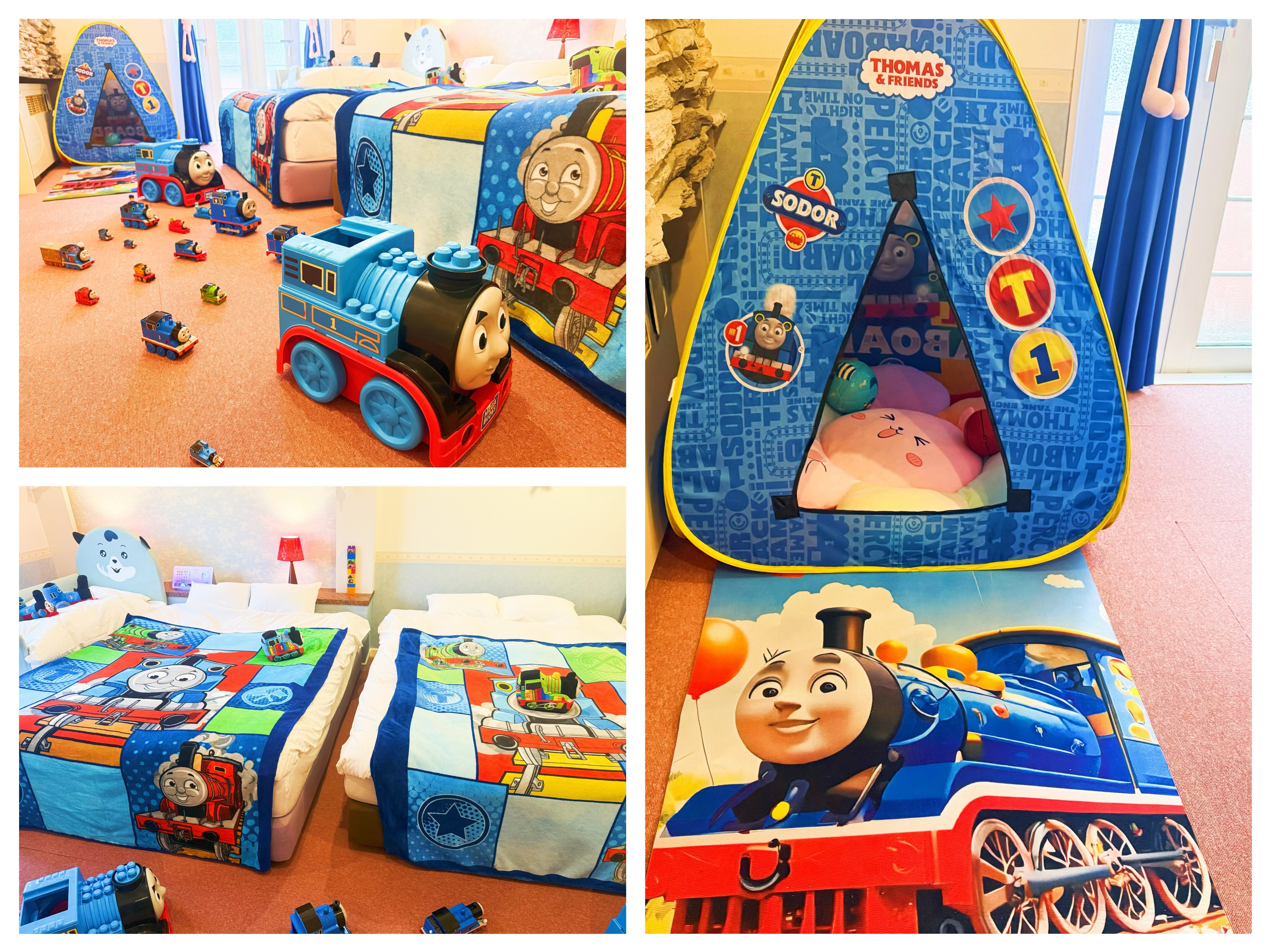 Room 303 Thomas Family Room