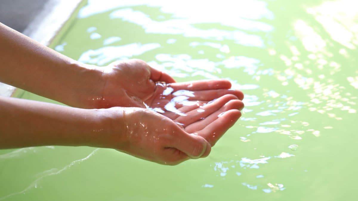 A free-flowing hot spring that changes color from cloudy to milky green depending on the temperature