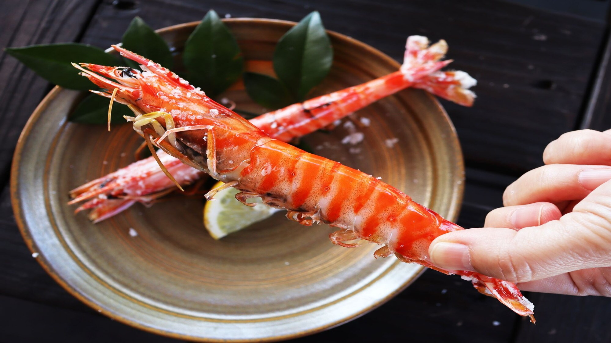 [Udang Kuruma] Ini bukan hanya untuk sashimi kuda. Hidangan khas Kumamoto (Amakusa) "Udang Kuruma"! (Foto milik Federasi Pariwisata Kumamoto)