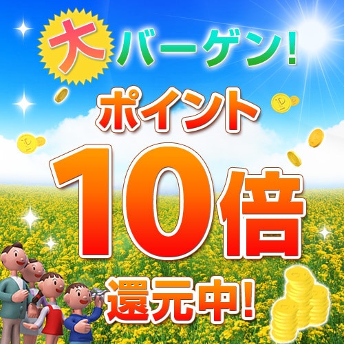 [10x points plan]