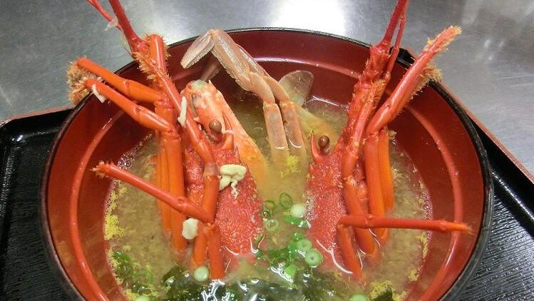Súp miso tôm hùm