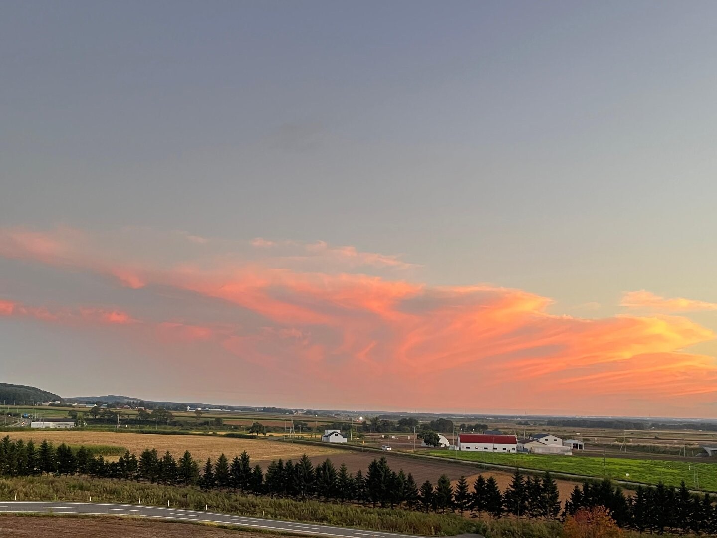 E53B695A-306B-426B-B442-E2BA3381451B.jpeg