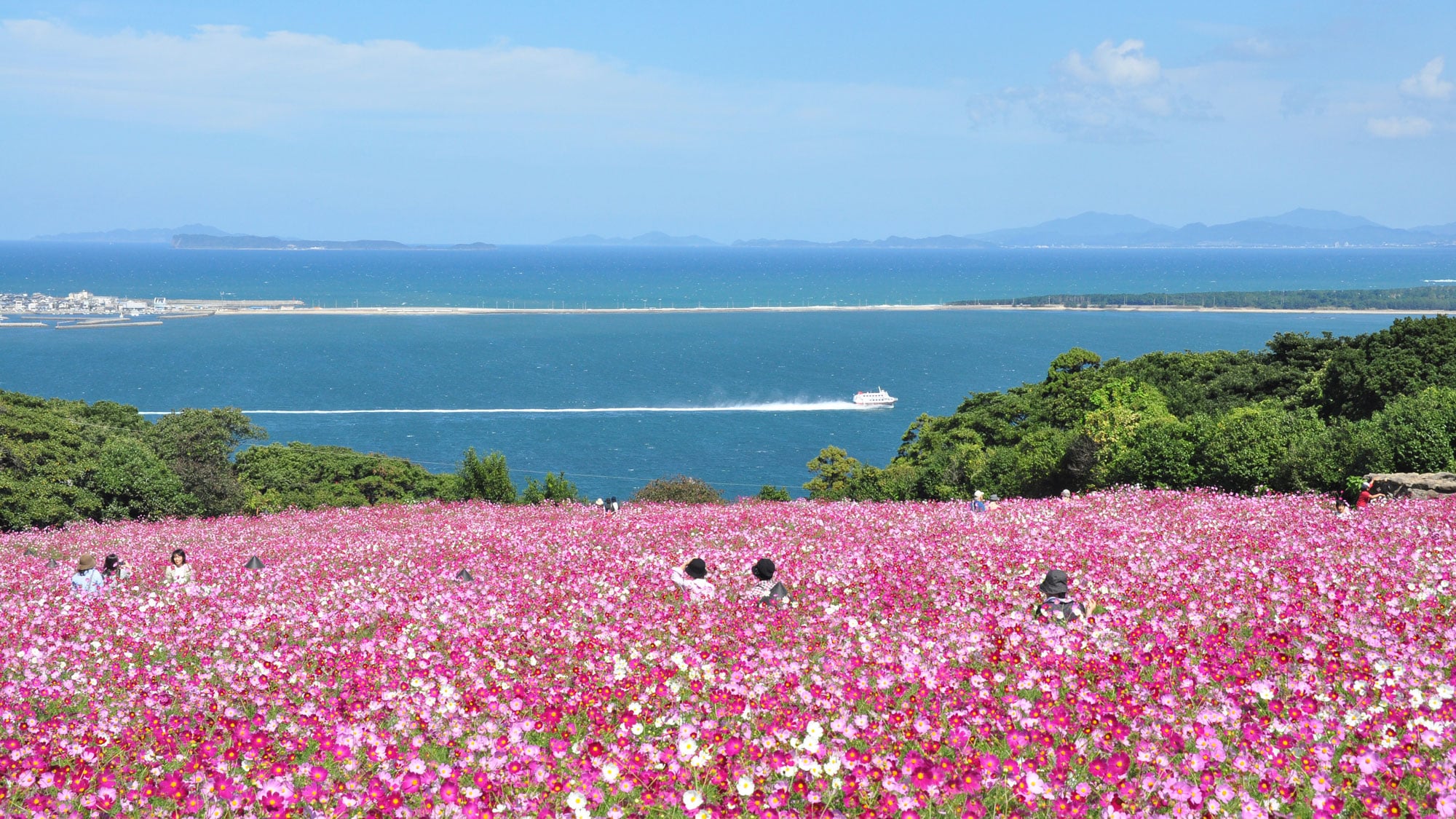 Công viên đảo Nokonoshima (mùa thu)