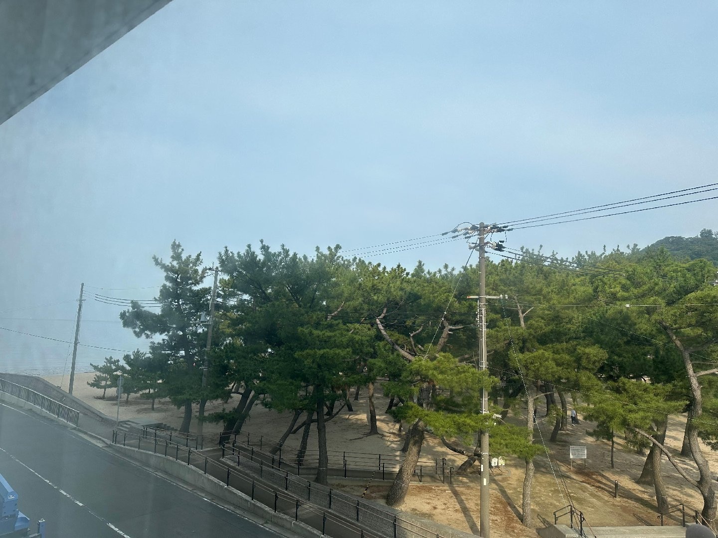 IMG_0787.jpeg