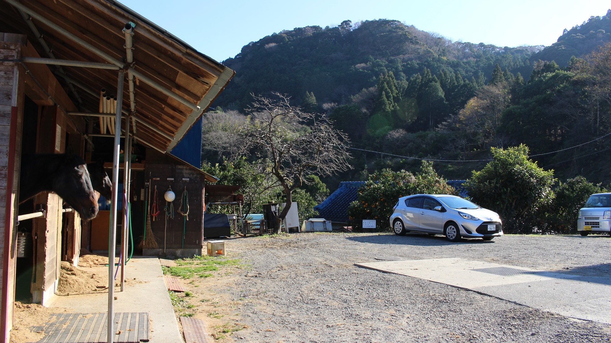 Parking: Free parking. No reservation required.