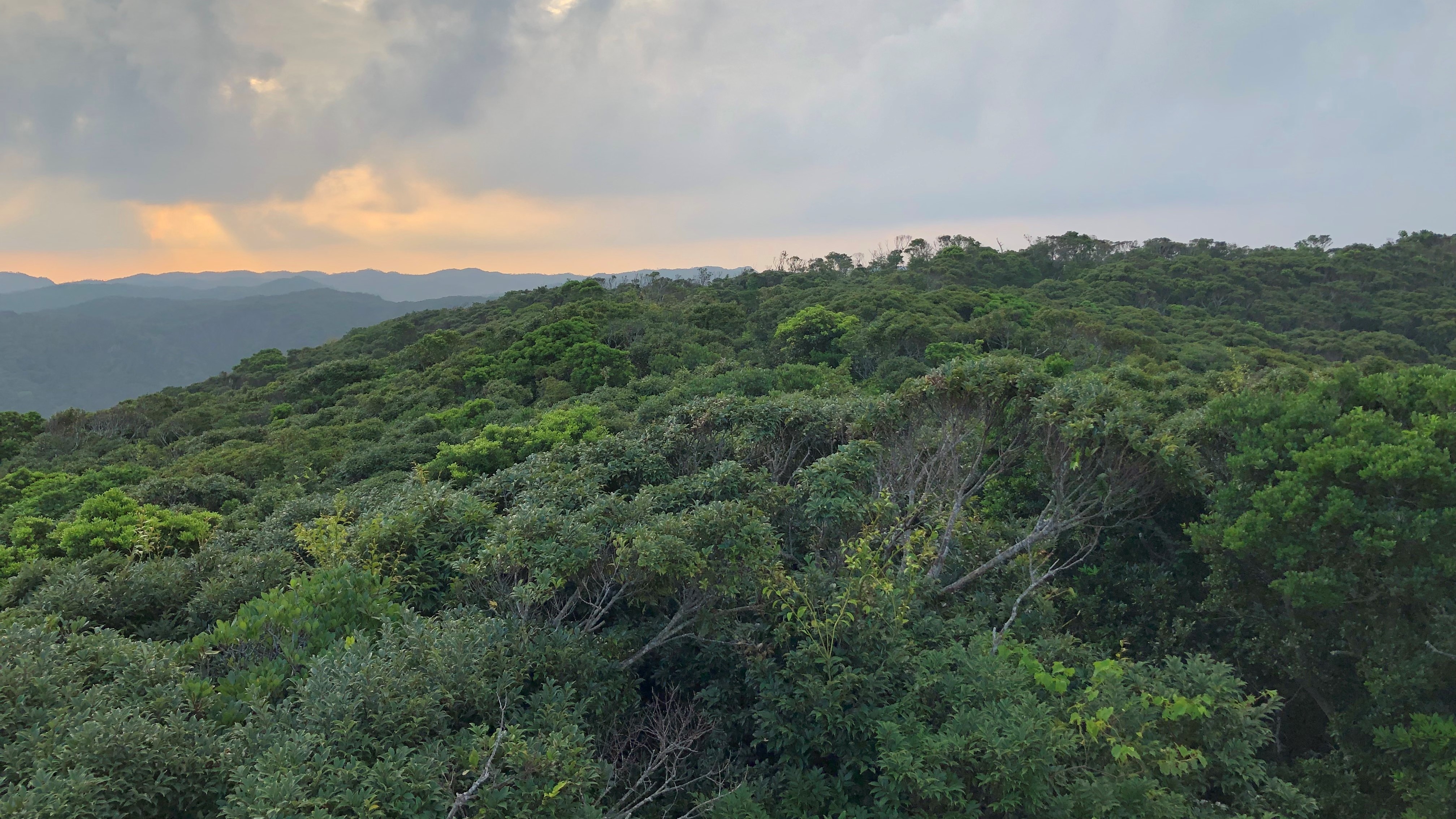 Nature of Amami Oshima
