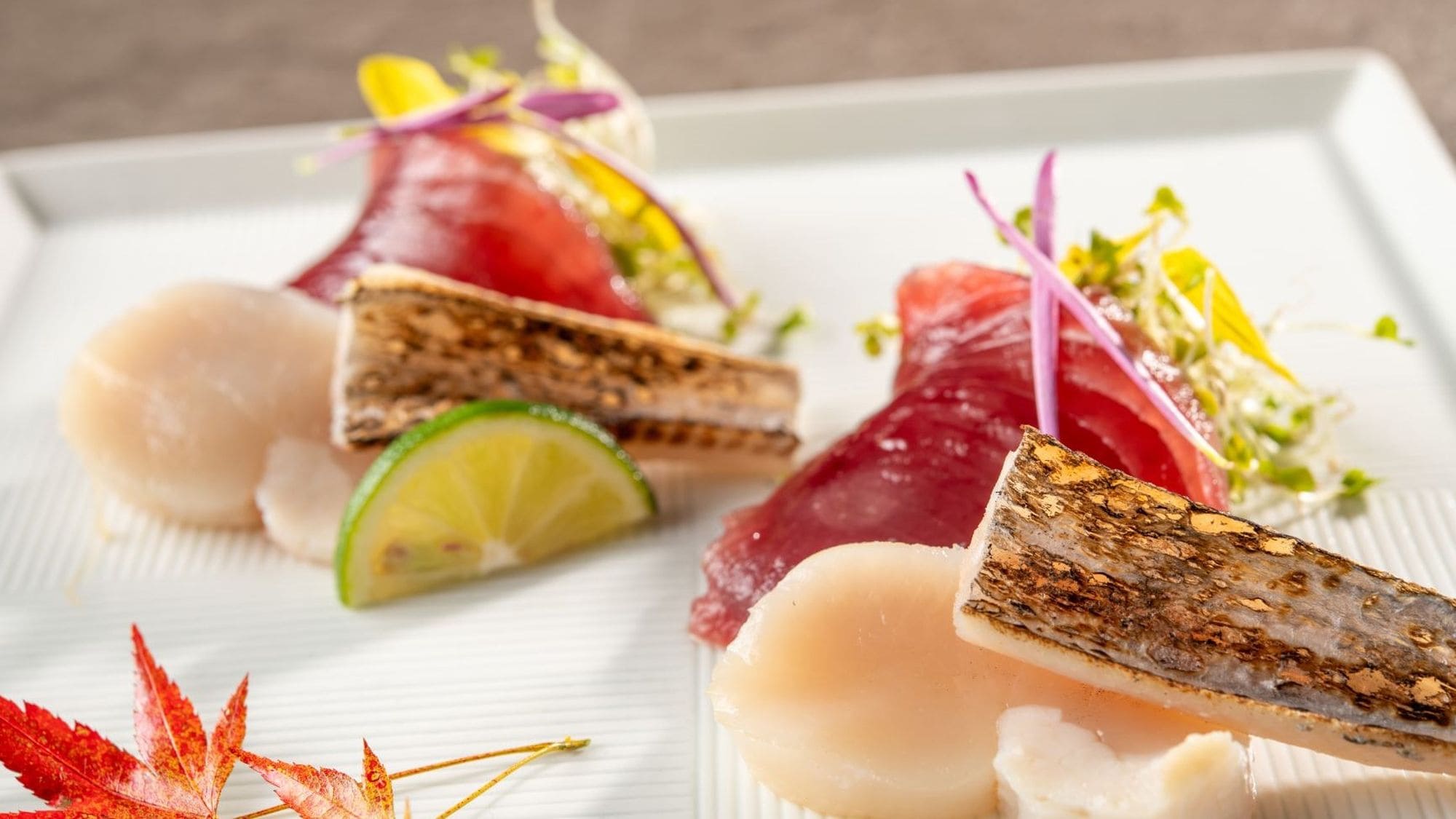 【本地特色怀石料理套餐】秋季（2026年9月至11月）刺身：鲣鱼、带鱼、扇贝