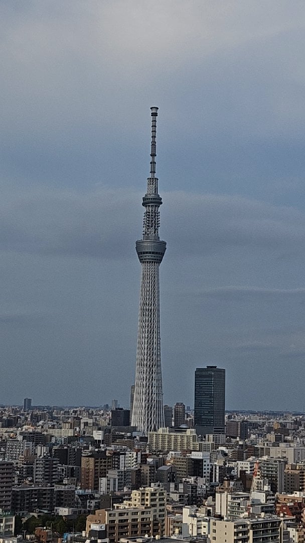 26658.jpg