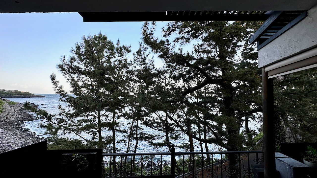[Japanese-style room] Guest room with a view
