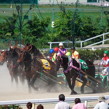 Ban'ei horse racing
