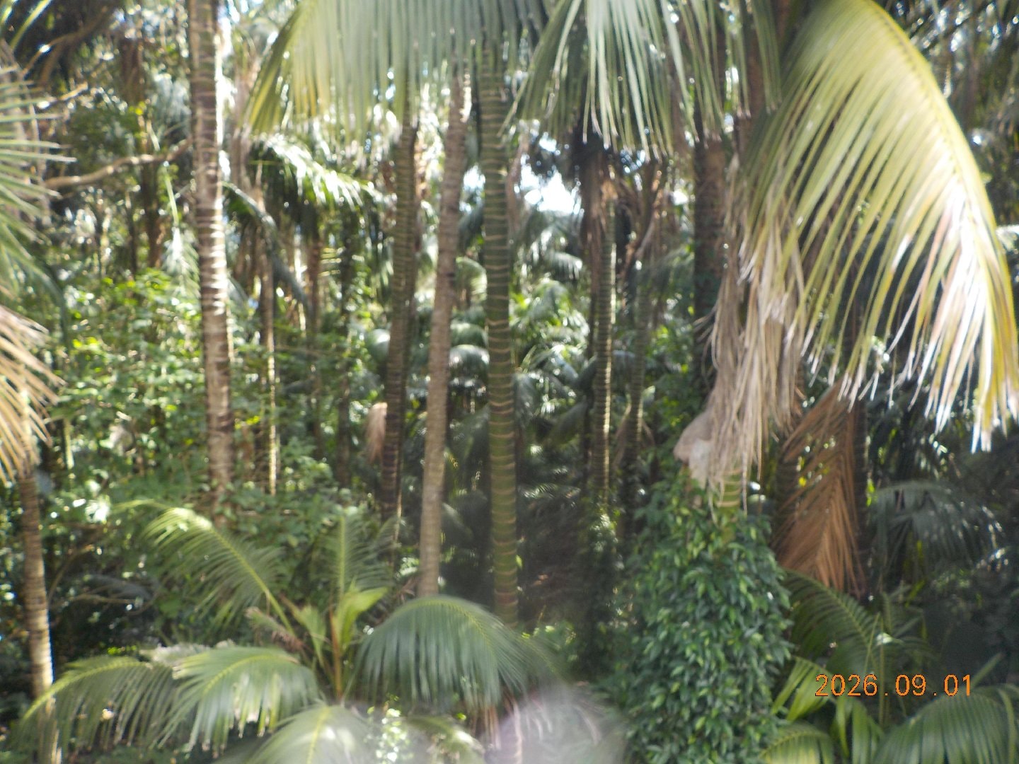 DSCN2413.JPG