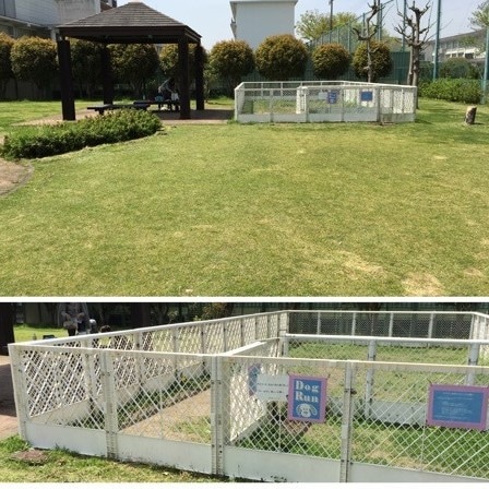 Dog run in "Nagara Park" in the north of the hotel