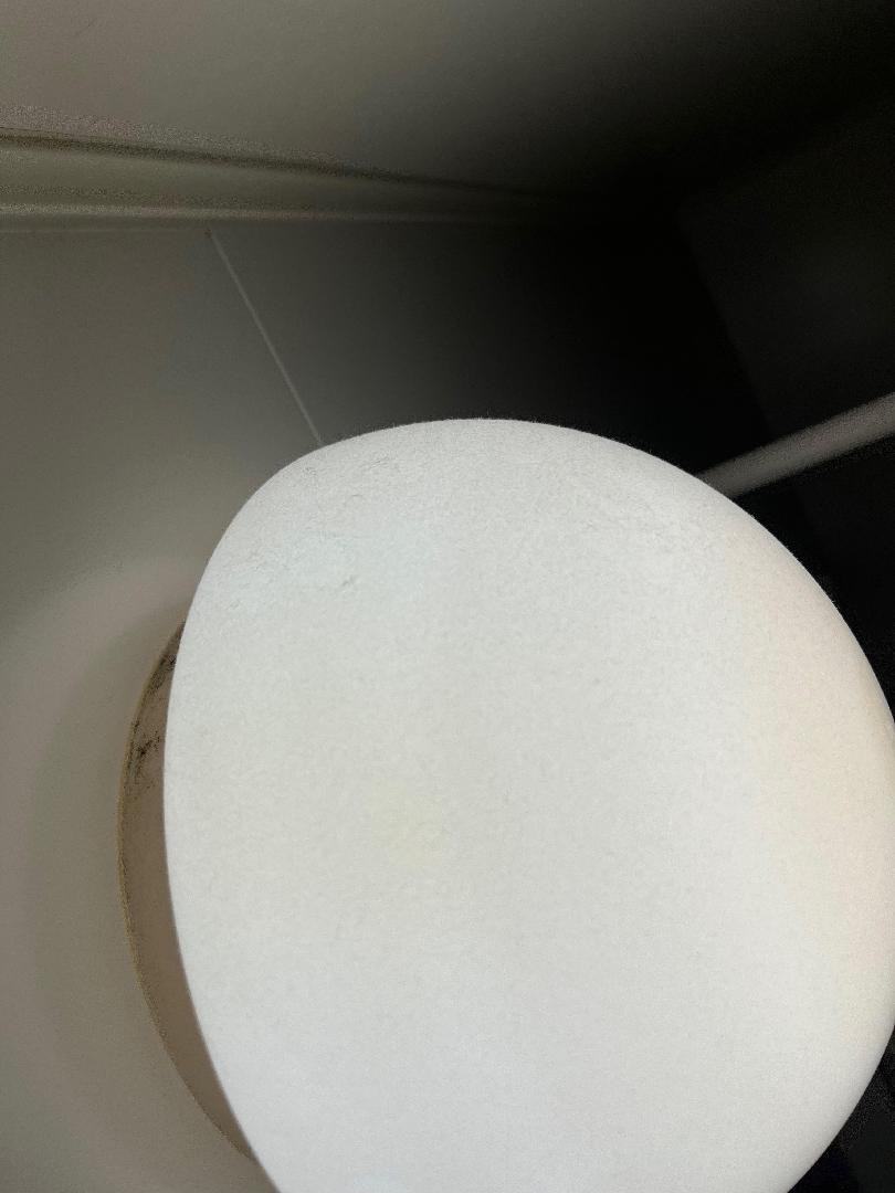 085A1E9E-14D6-481C-AB3B-0E4CE132FD10.jpeg