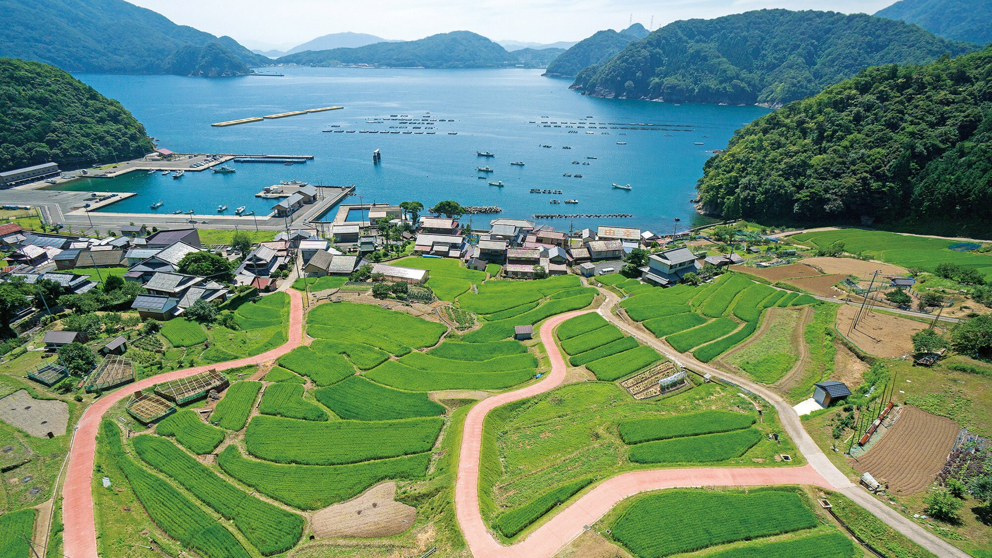 *【响梯田】渔村、大海、梯田、风景