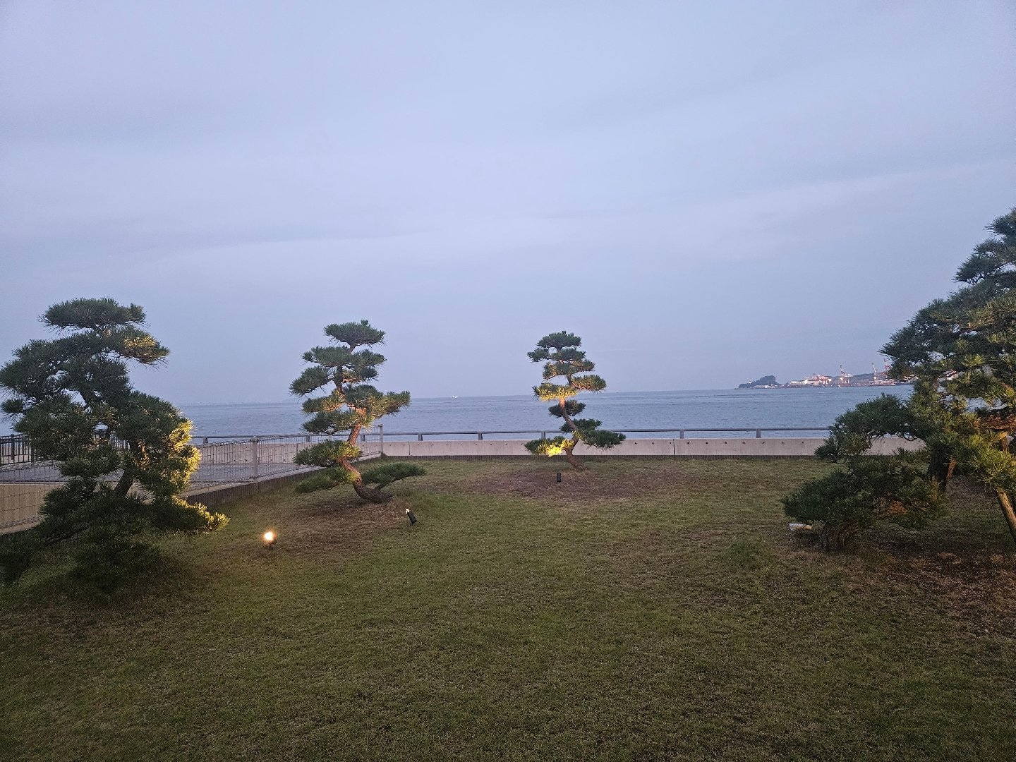 17329.jpg
