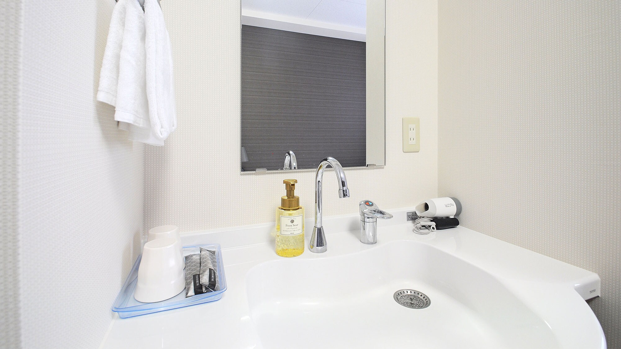 [Twin room] There is a large washbasin.