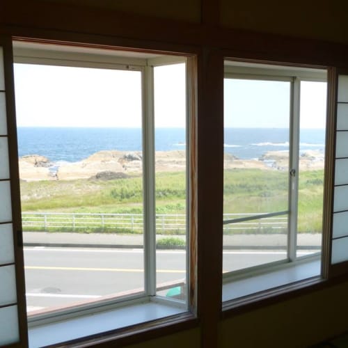 View from the Japanese-style room