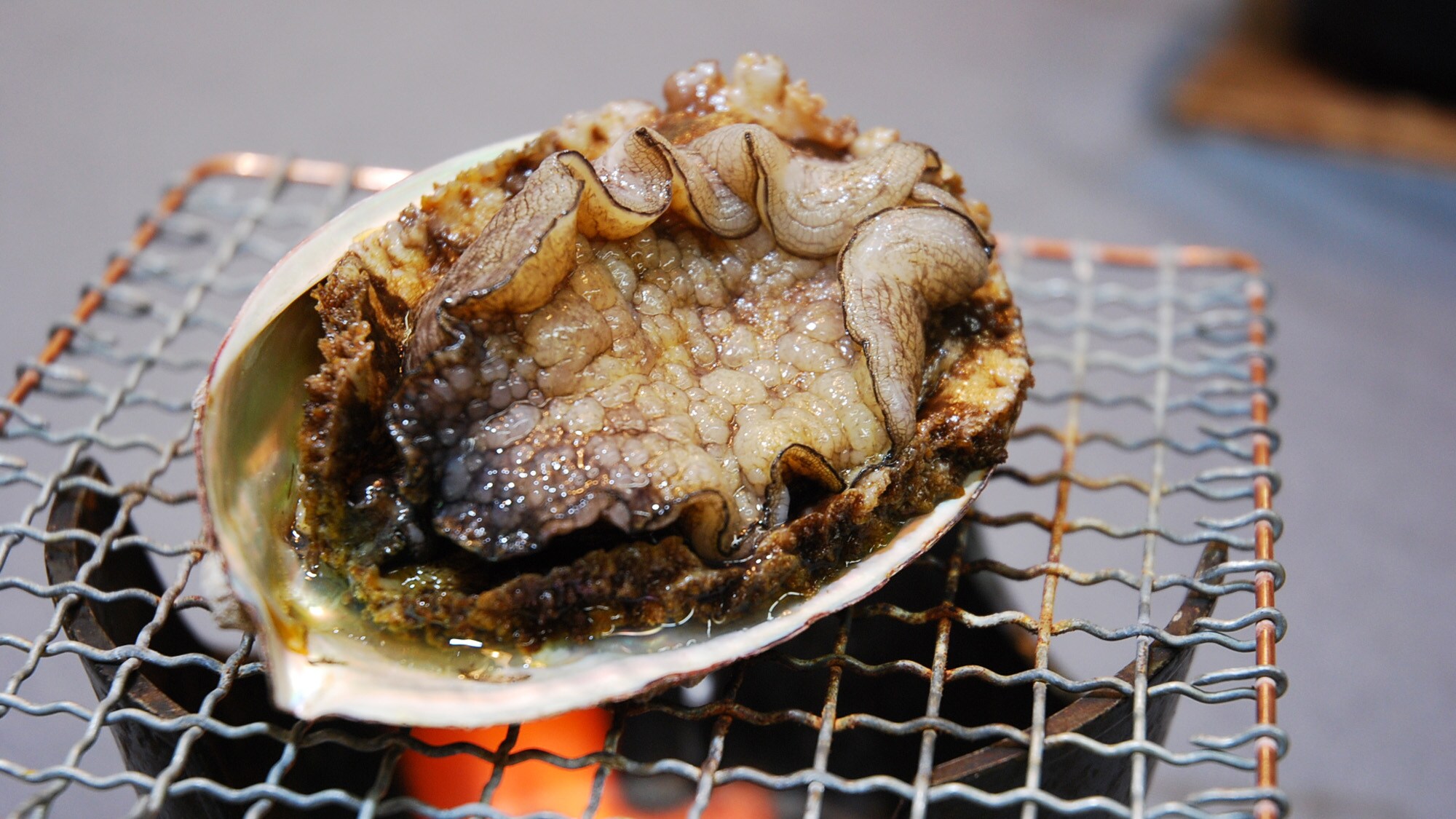 烤舞鮑魚
