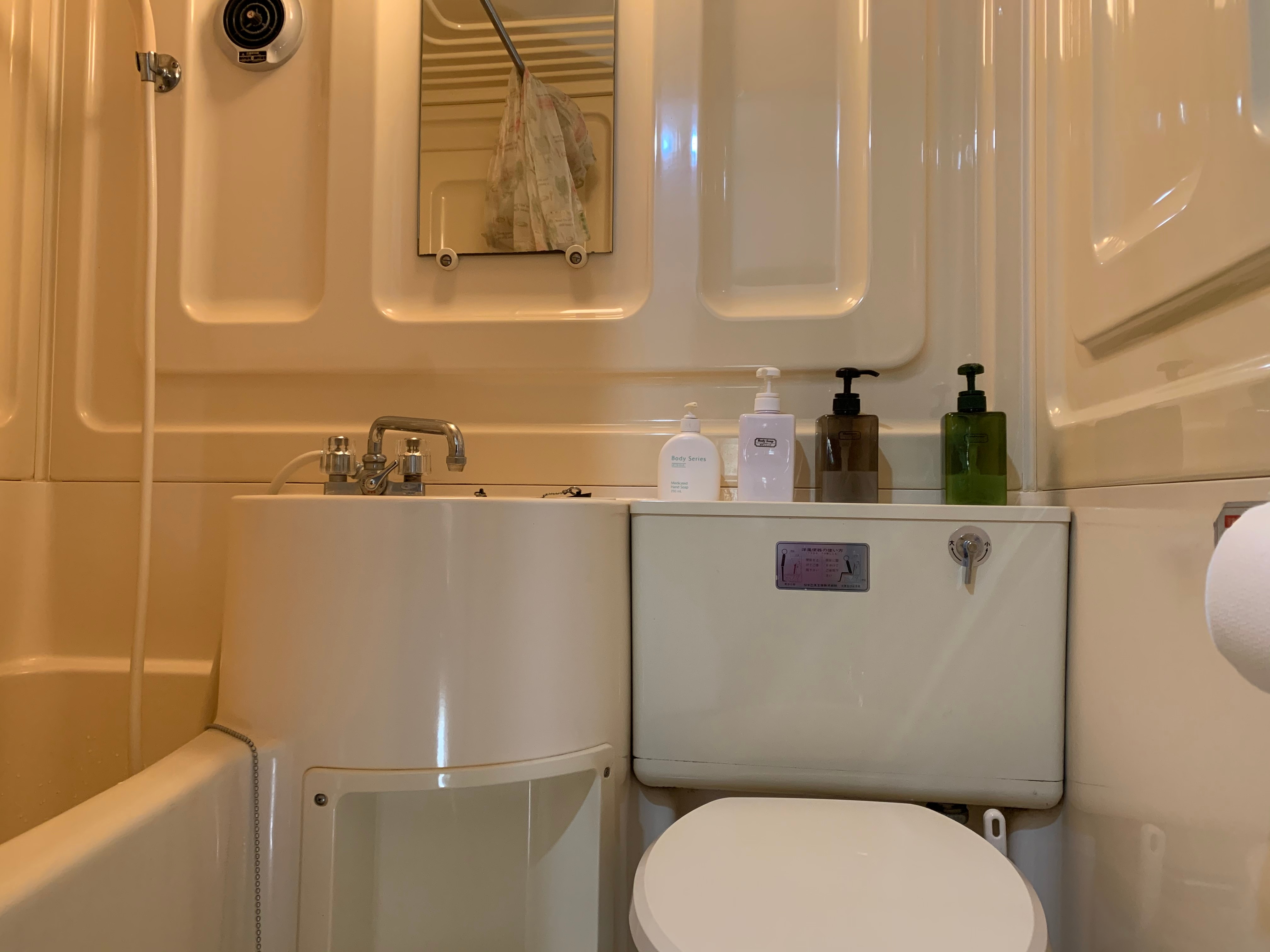 Family room bathroom and toilet