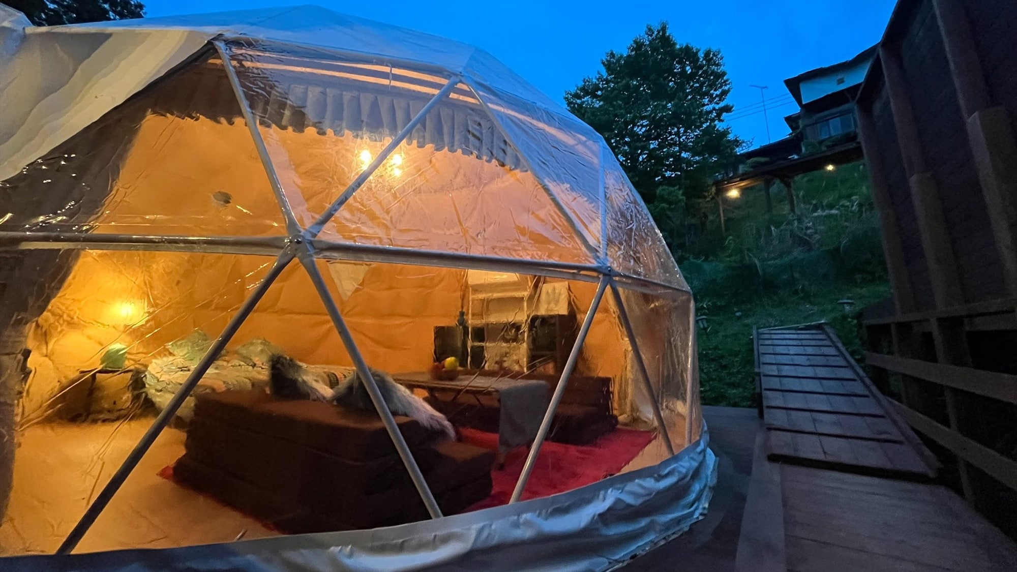Opening in 2023★Premium Dome Tent★