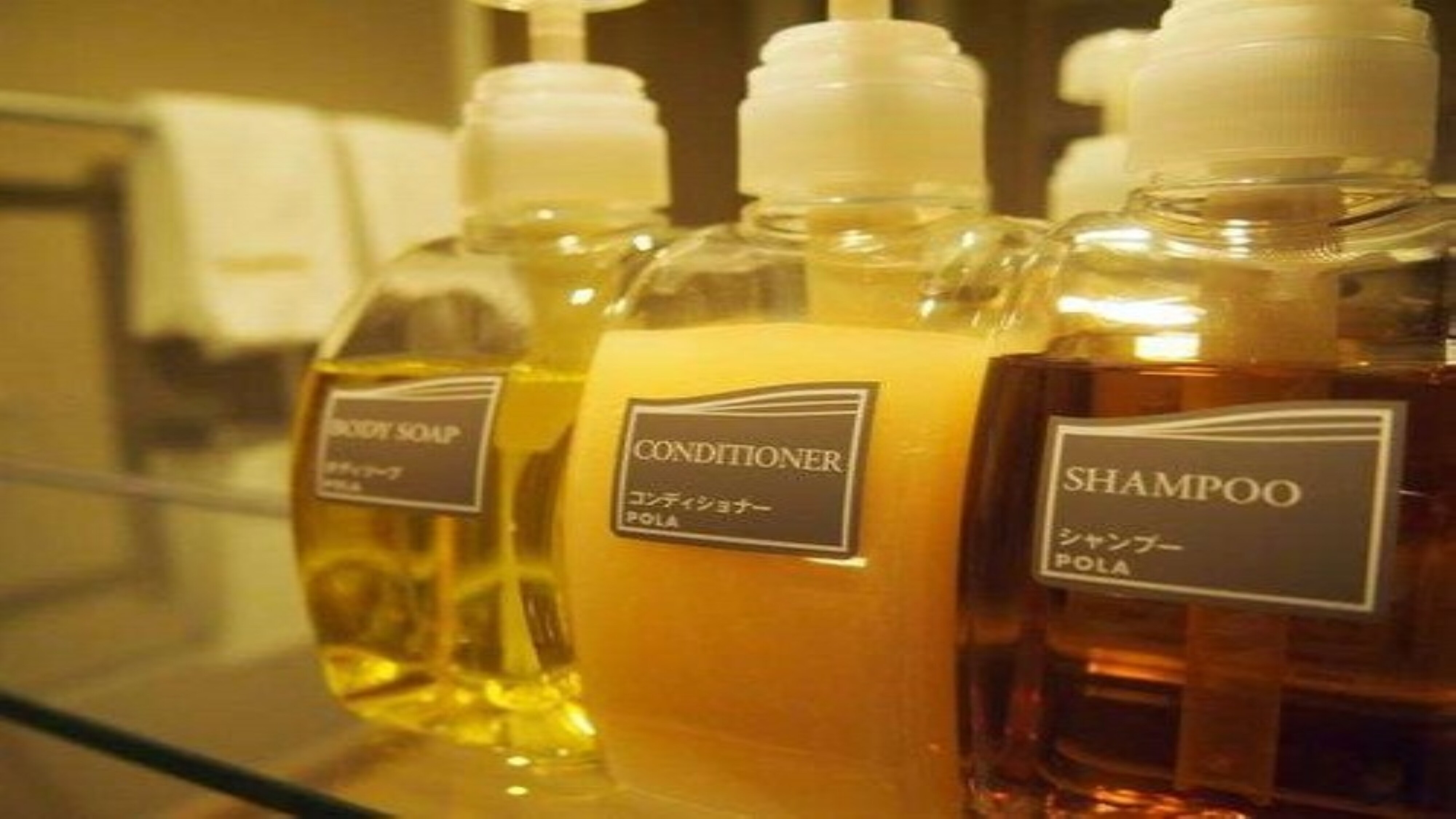 Amenities: shampoo, conditioner, body soap
