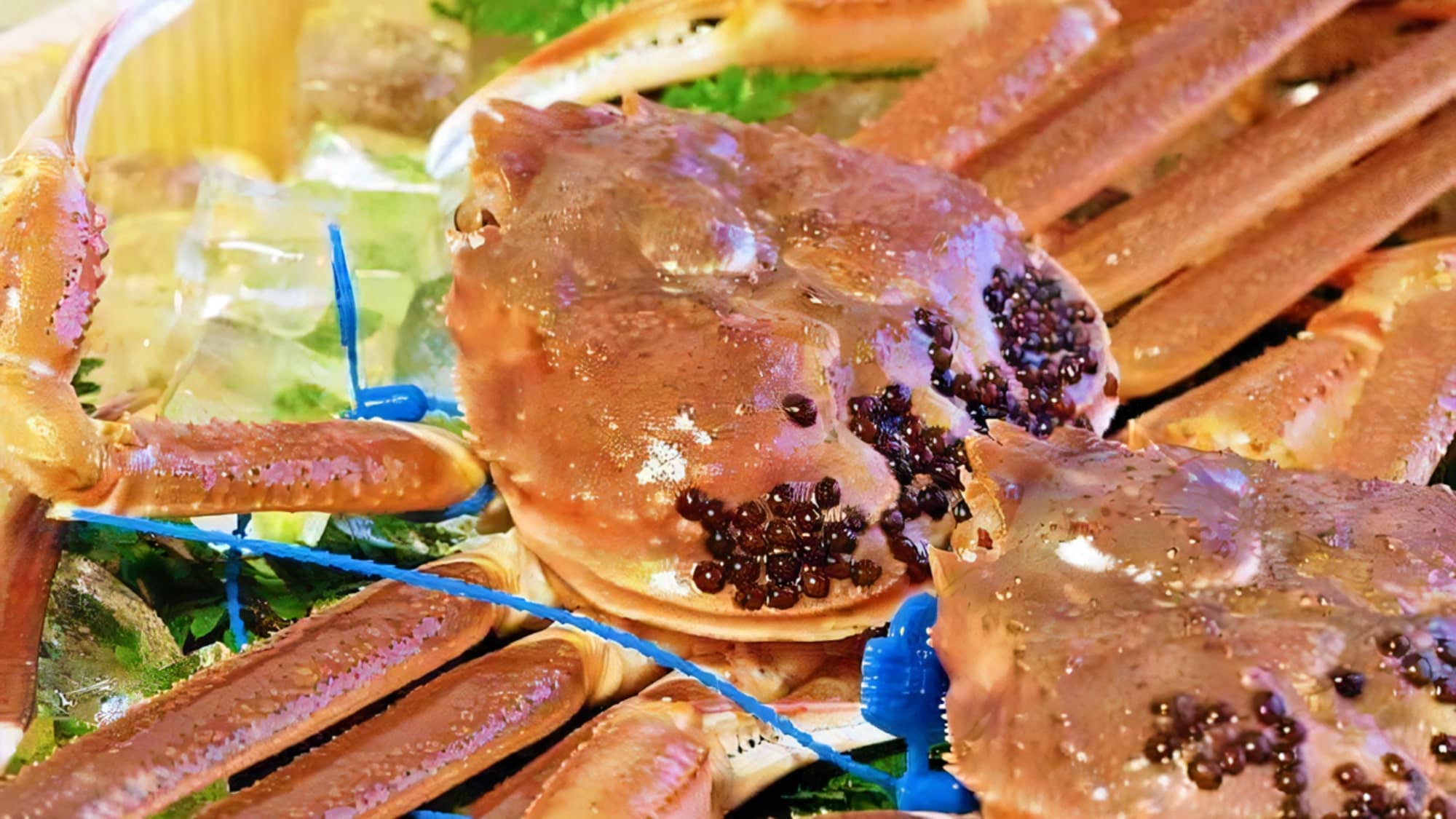 [Tagged] Raw crab from Tsuiyama