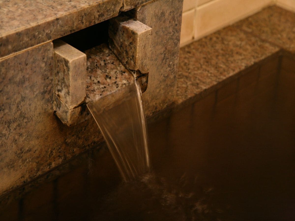 Spout