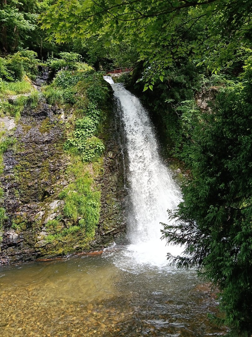 185.jpg