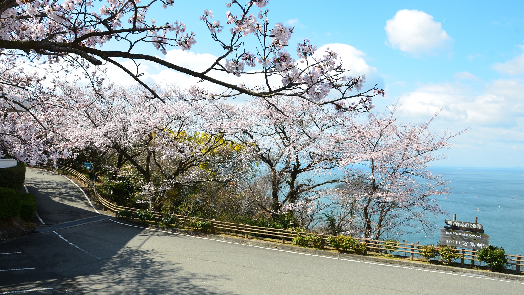Manyo "Cherry Blossom Corridor"