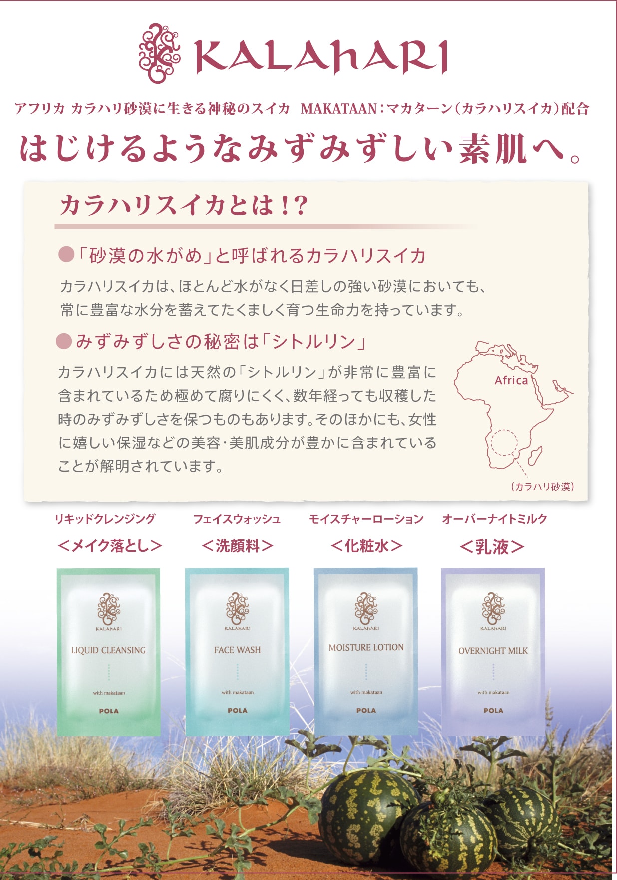 POLA Kalahari 4-piece set POP