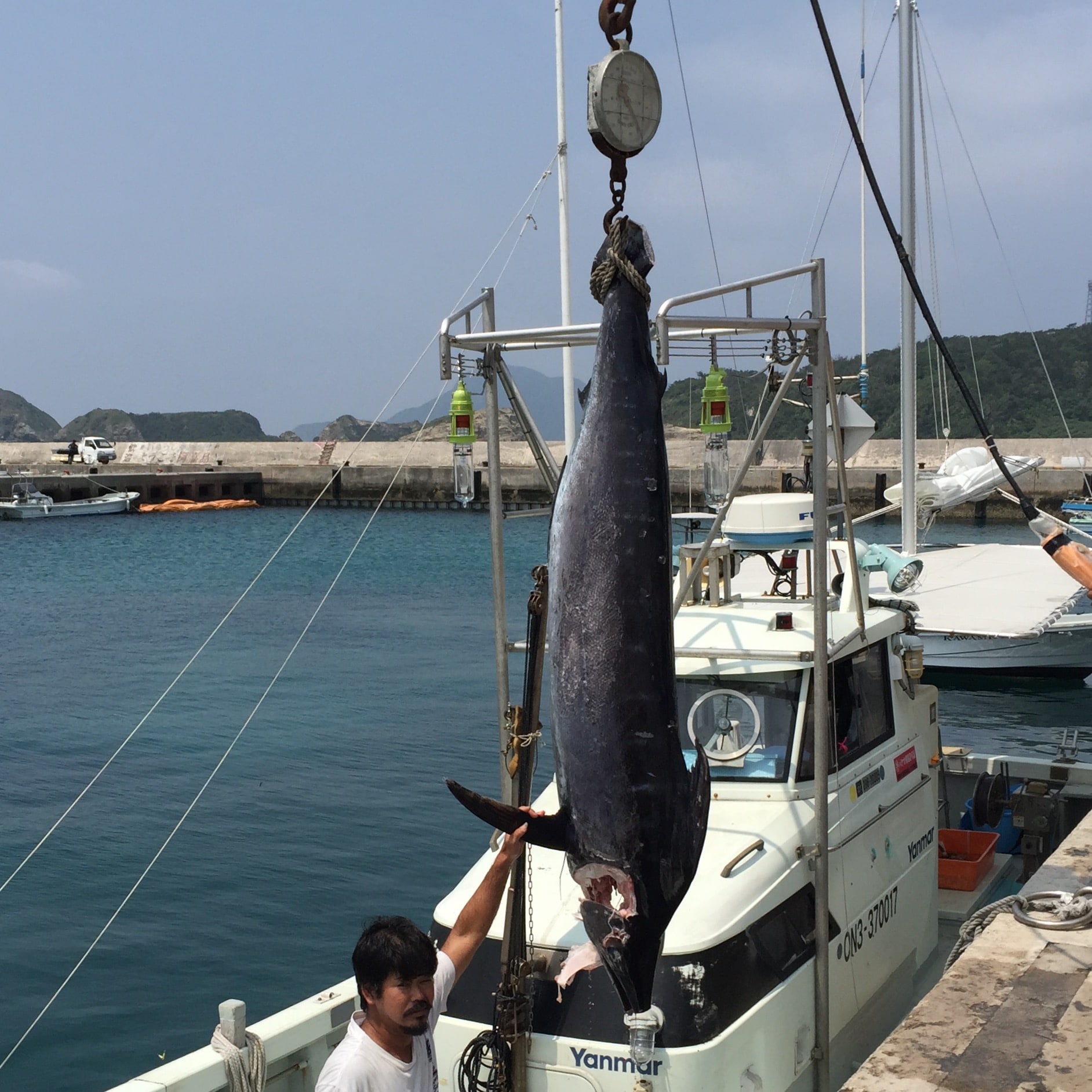 Big catch today!
