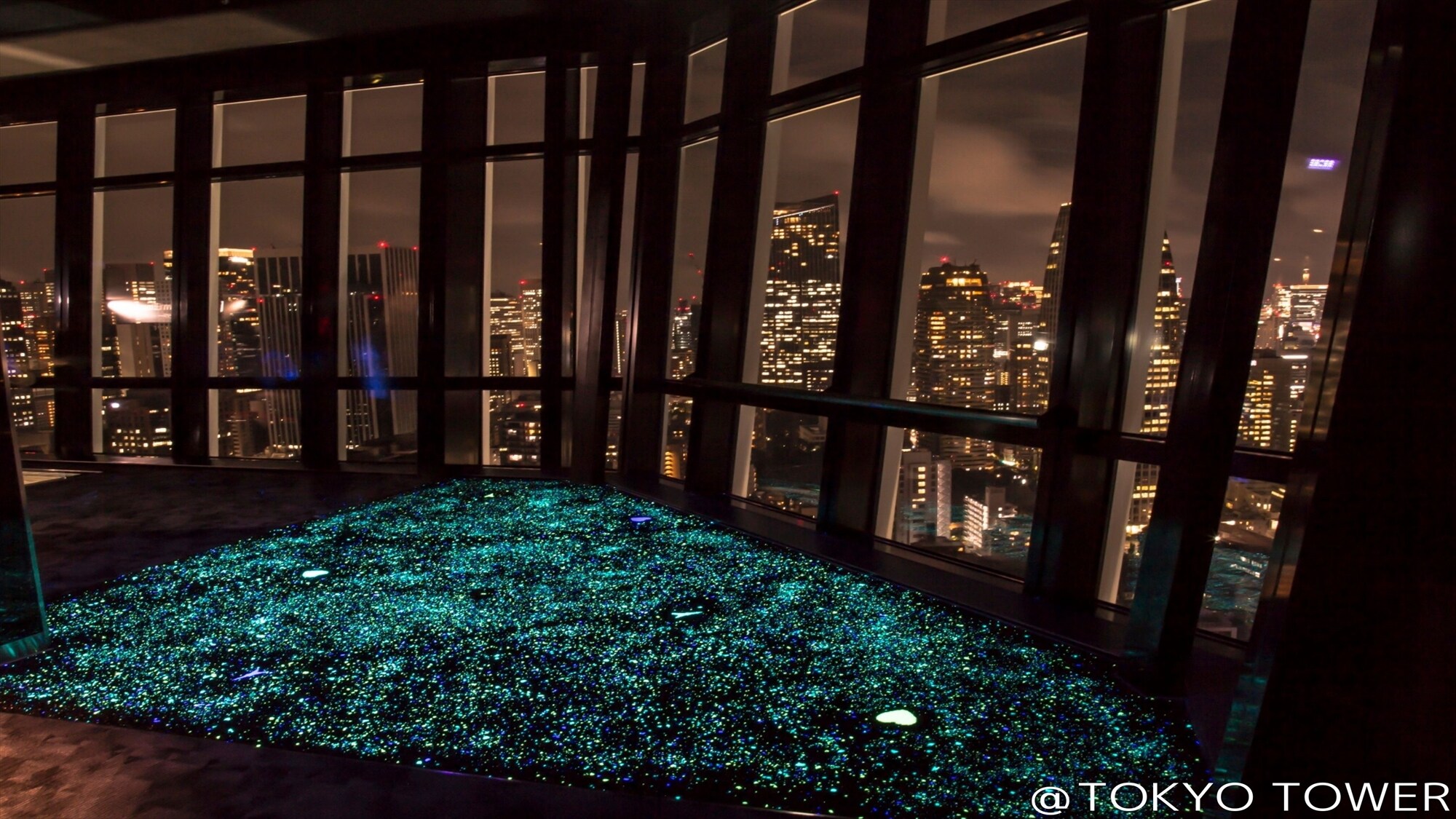 【도쿄 타워】 축광석 지역
