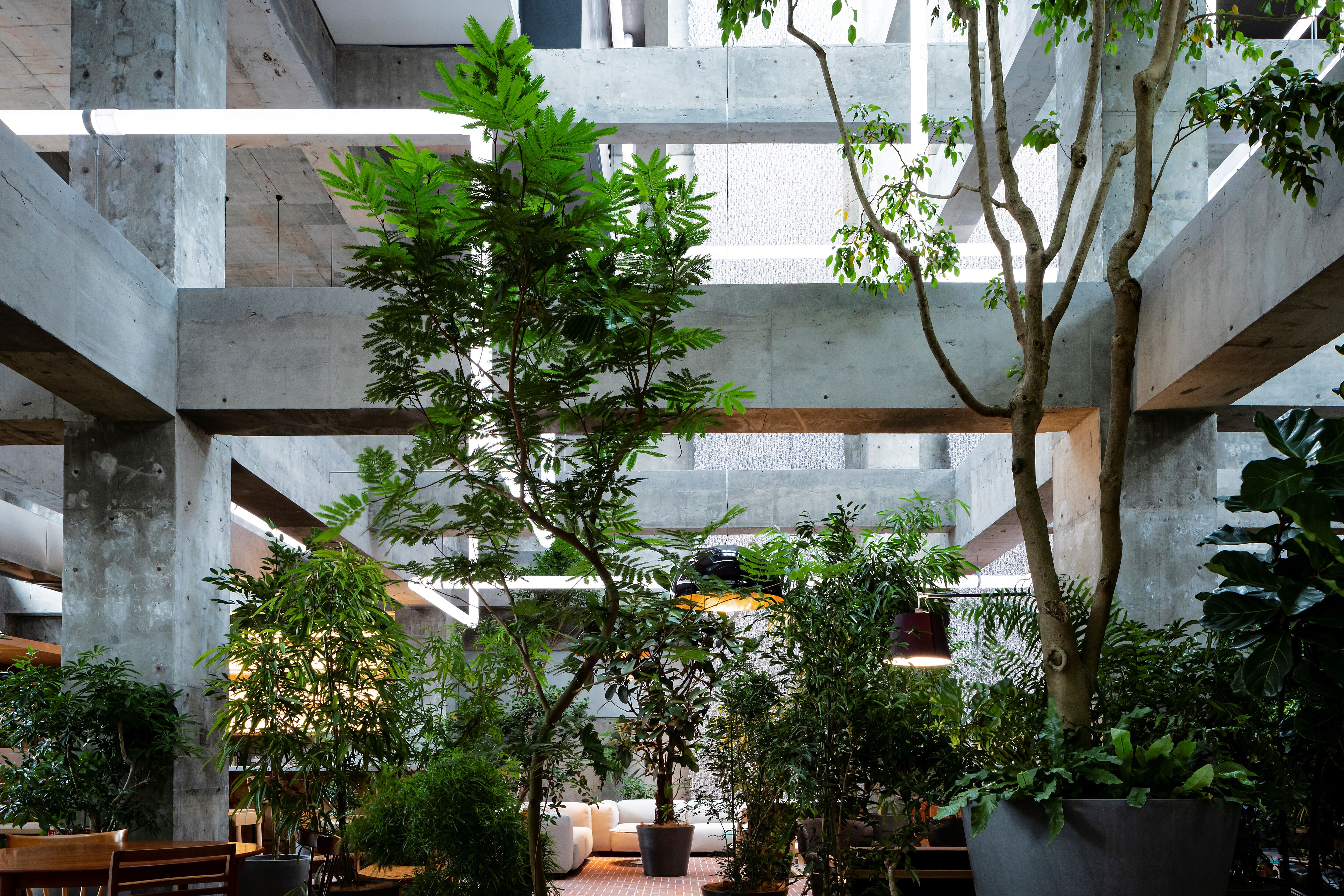 [Architecture] Enjoy the extraordinary space created by architect Sou Fujimoto