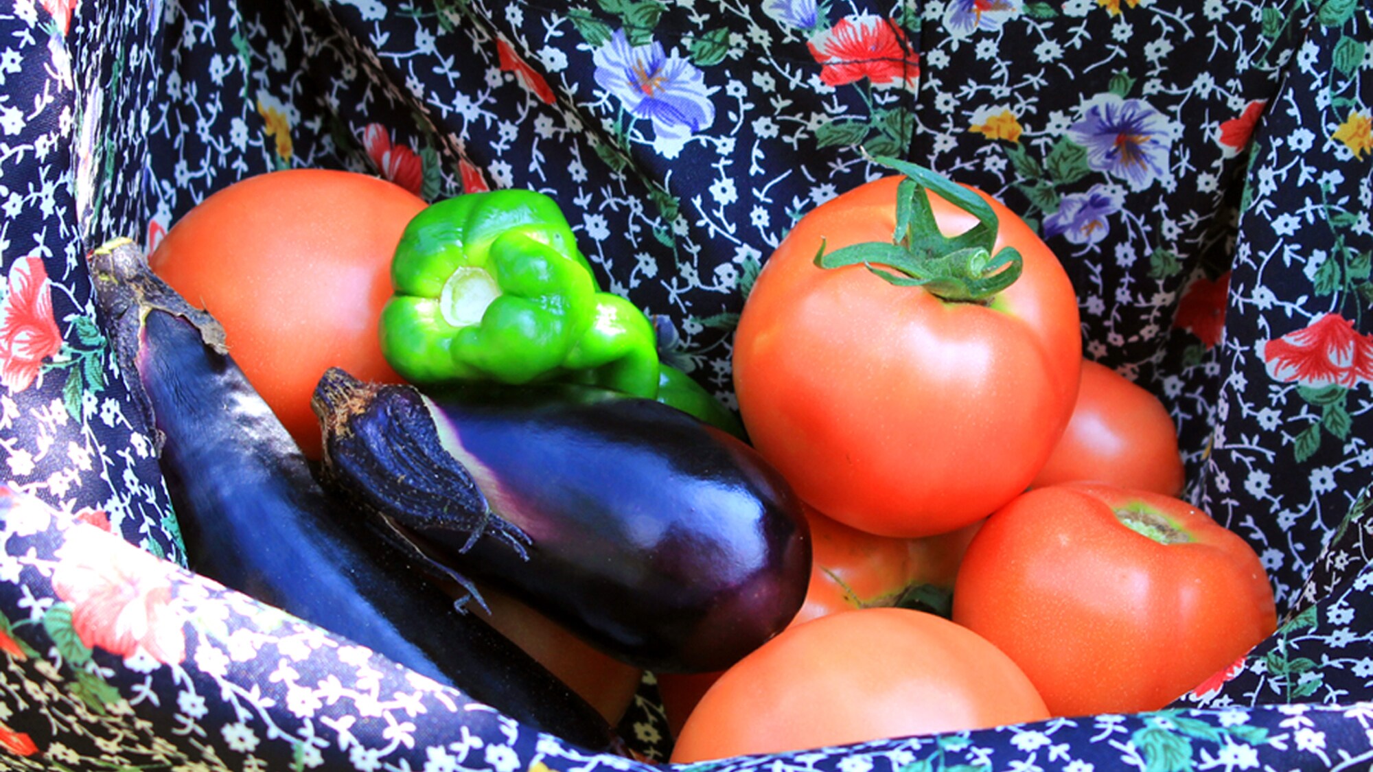 Freshly picked vegetables