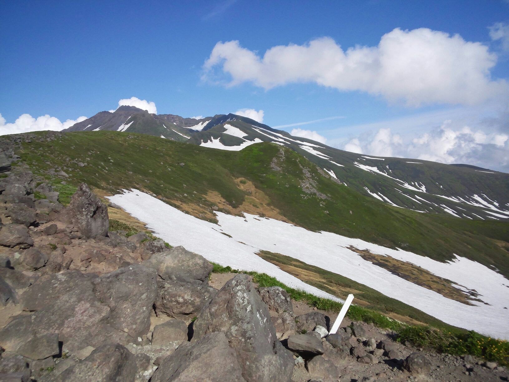 夏山
