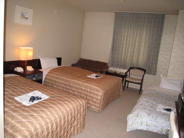 雙床房在20平米的大空間中增加了一張手提床，最多可容納3人。
