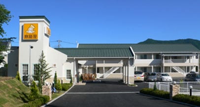Appearance image