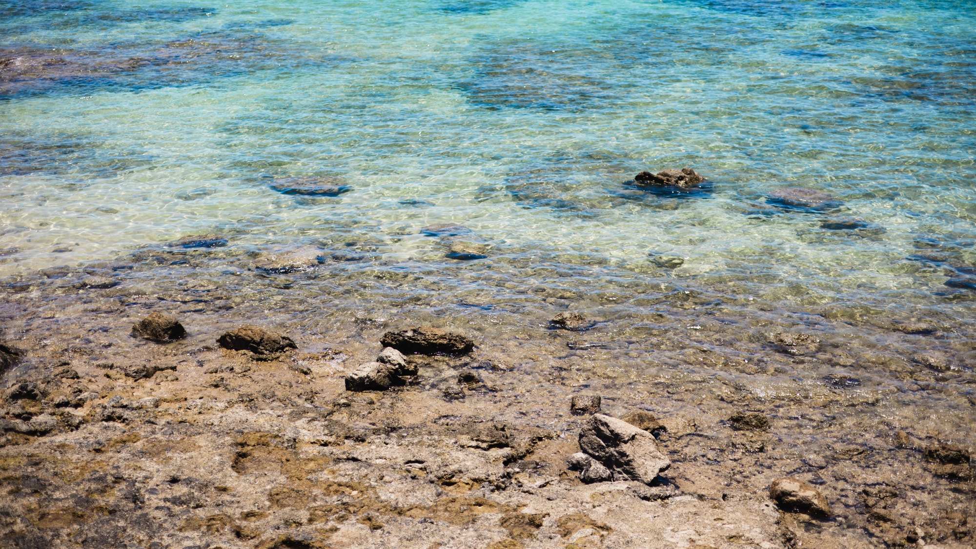 <ธรรมชาติของอามามิ>