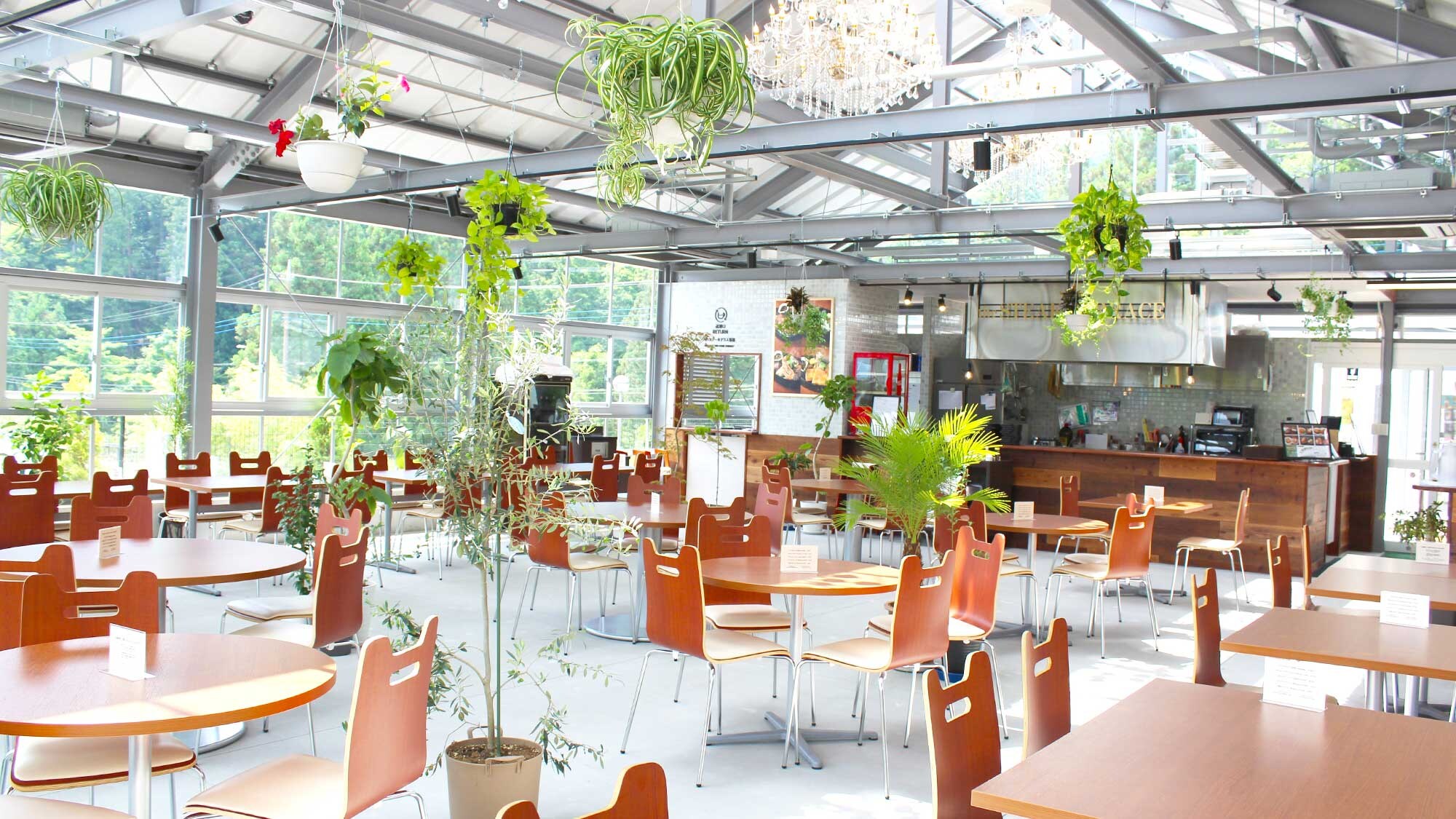 [The Green Terrace Nikko] คอนเซ็ปต์คือร้านอาหารสไตล์เรือนกระจกนิกโก้ มีแสงสว่างส่องเข้ามาในร้าน