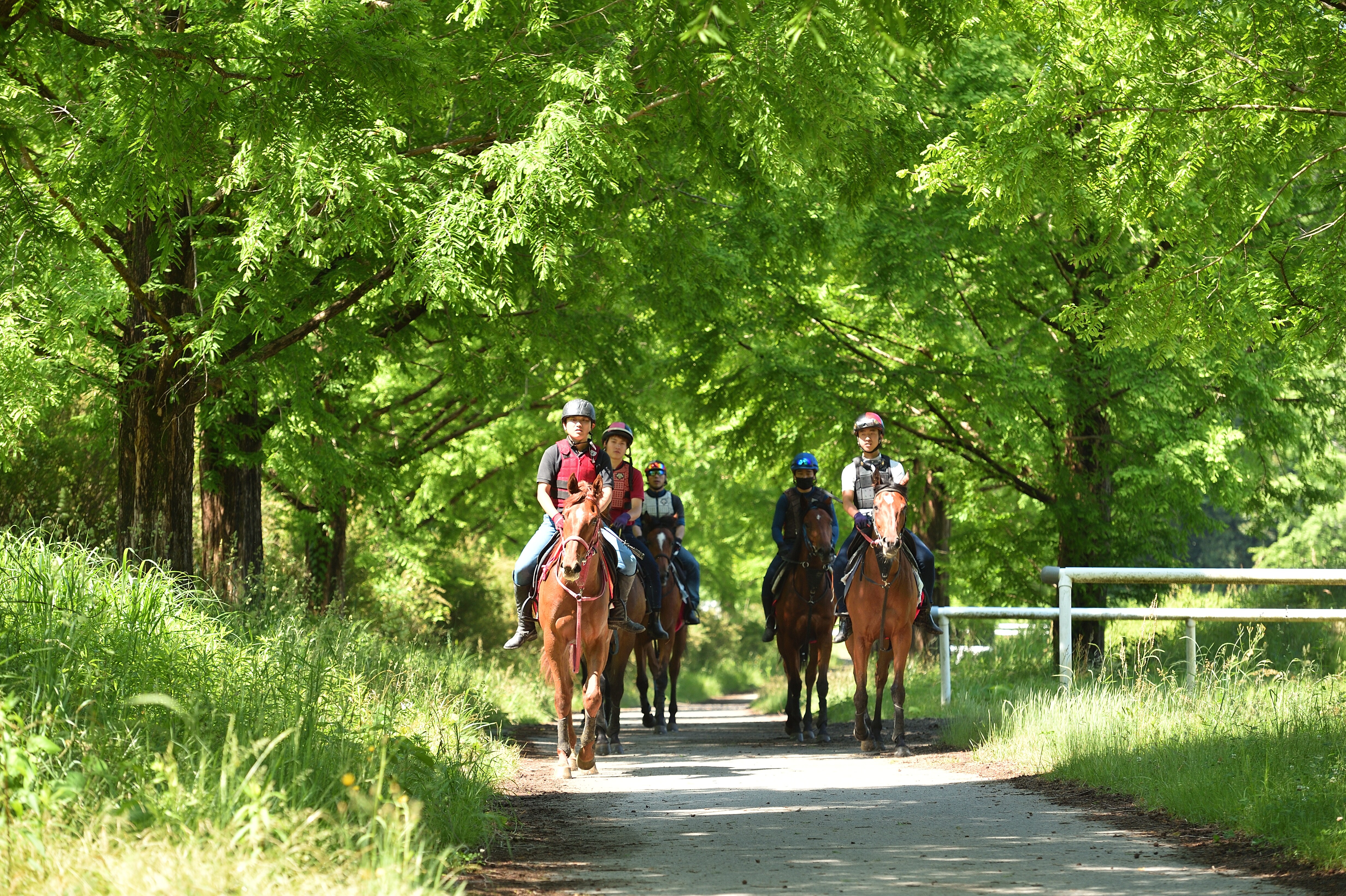 Horseback riding experiences are scheduled to begin in 2021.