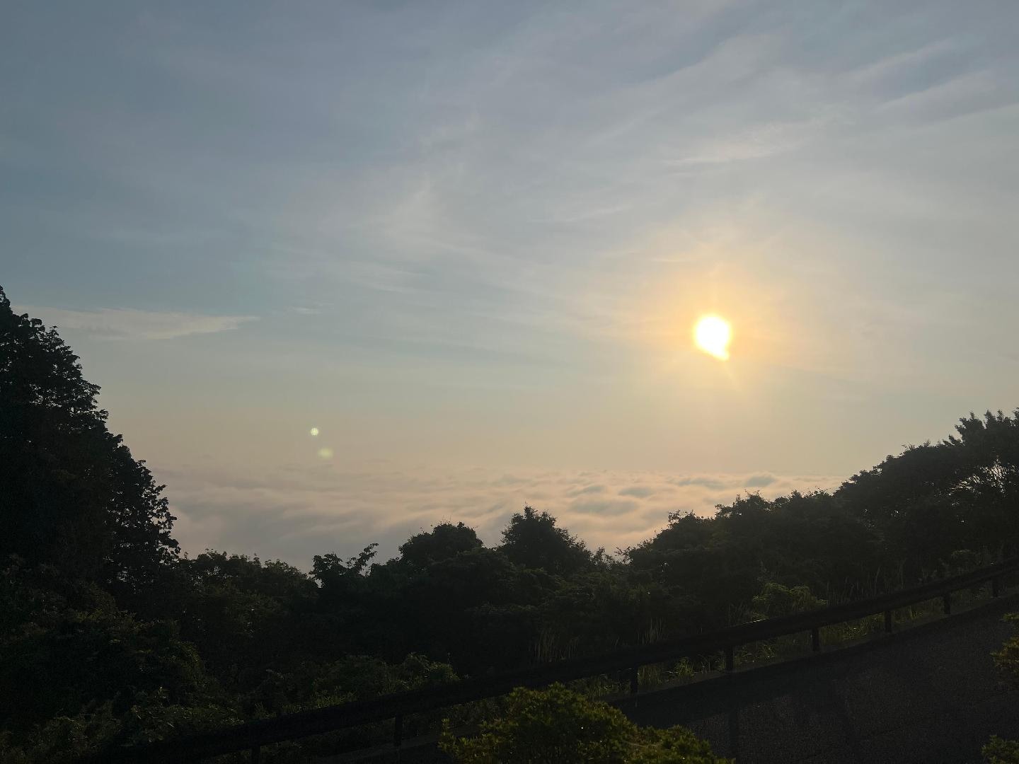 3D094B0A-2FEC-431F-8931-2F5EBD252692.jpeg